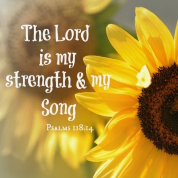 Psalm 118:14 - Picture 1 of 1